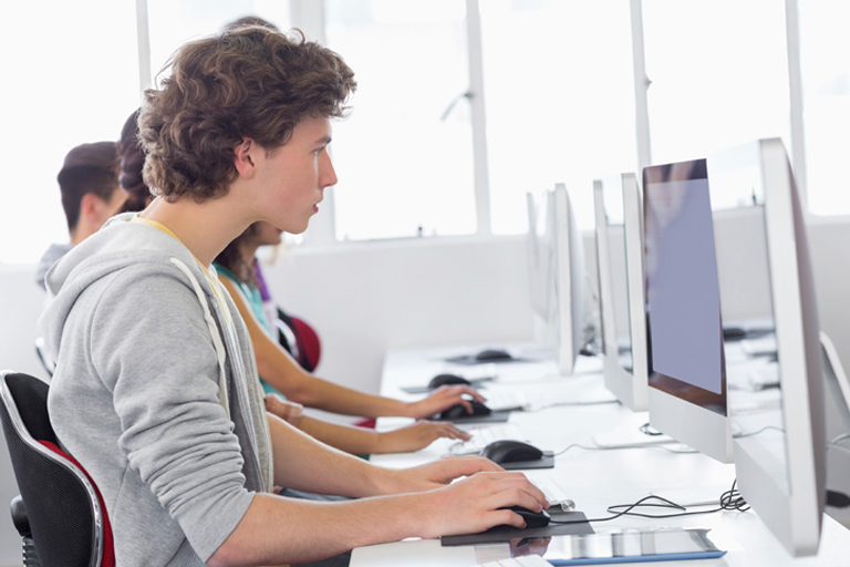 Online Training Choices for Computer Education